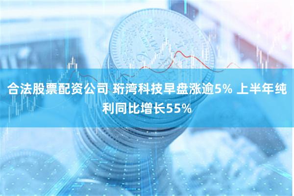 合法股票配资公司 珩湾科技早盘涨逾5% 上半年纯利同比增长55%