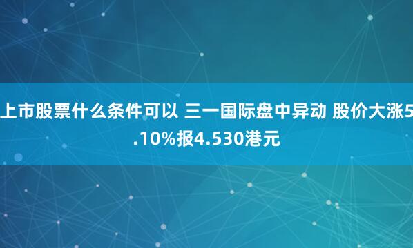 上市股票什么条件可以 三一国际盘中异动 股价大涨5.10%报4.530港元