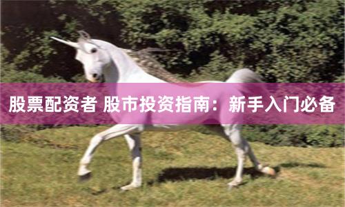 股票配资者 股市投资指南：新手入门必备
