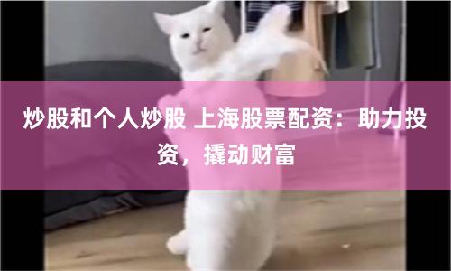 炒股和个人炒股 上海股票配资：助力投资，撬动财富