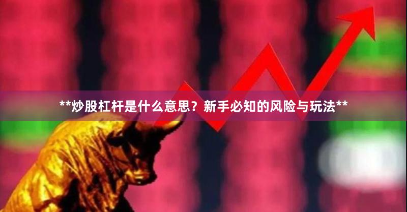 **炒股杠杆是什么意思？新手必知的风险与玩法**